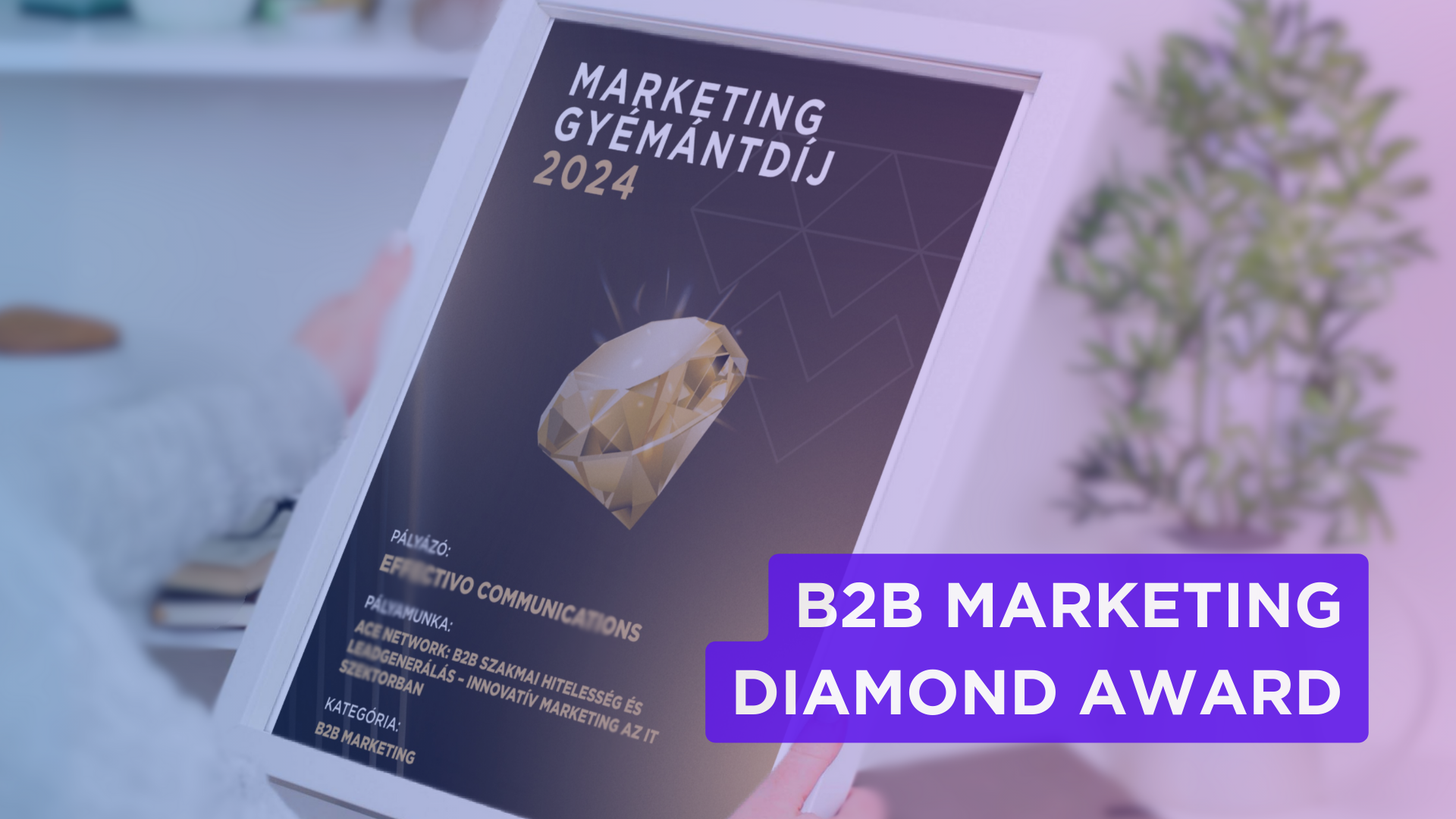  🏆 Ismét díjazták az ACE Network marketing aktivitásait 🎉